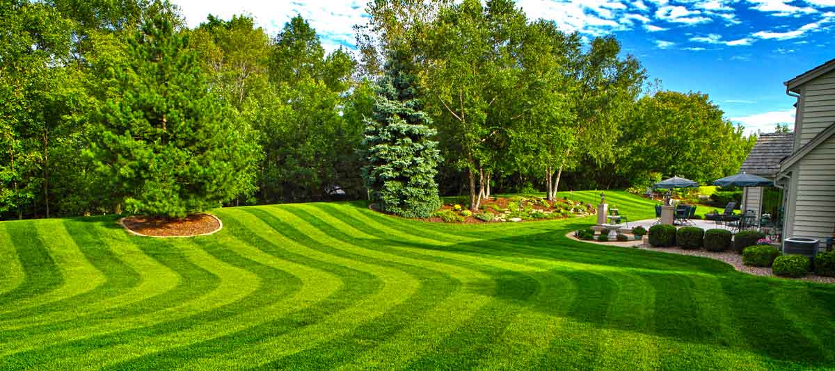 Landscaping Lawn